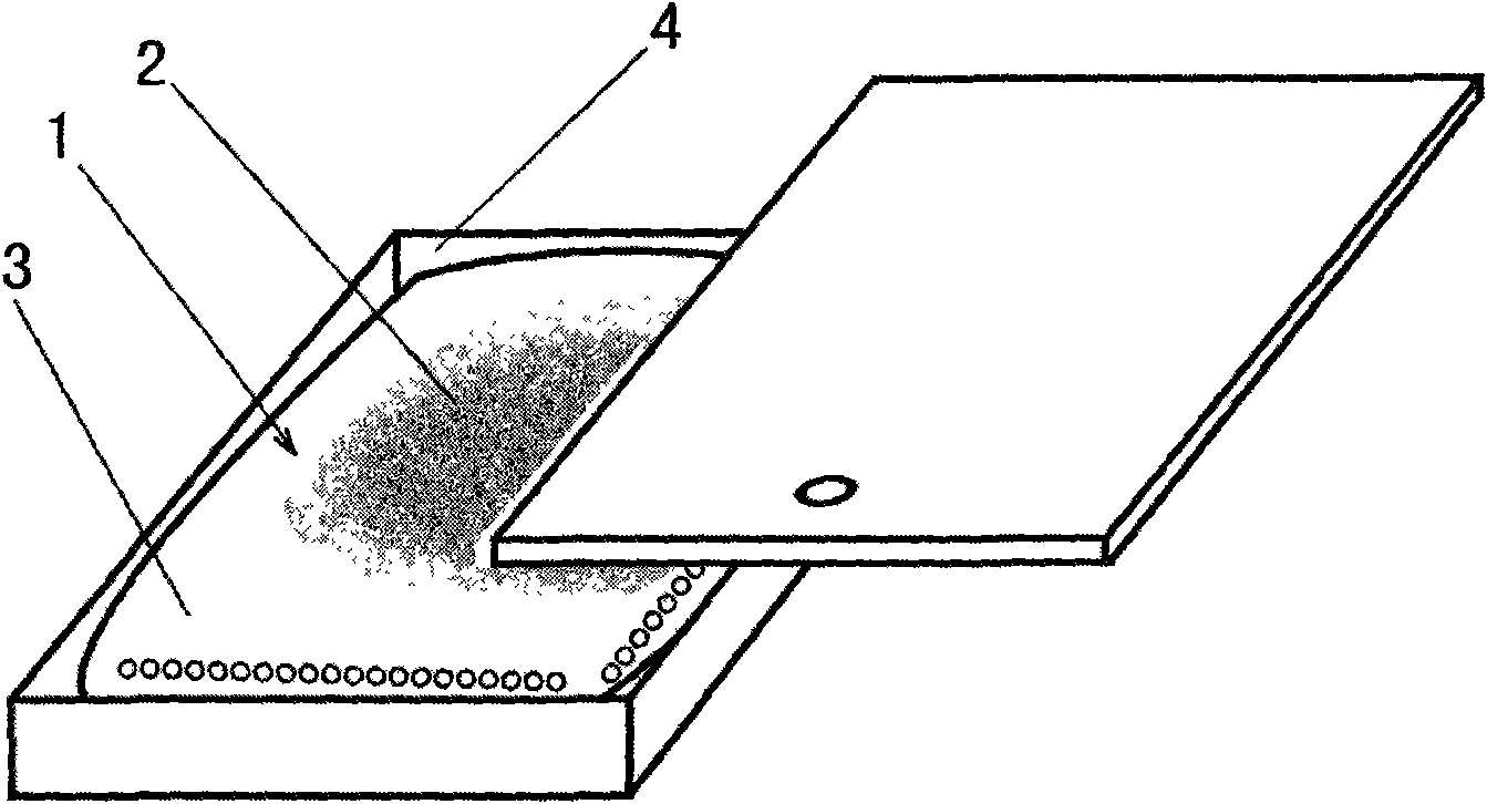 Medical suspended preparation and preparation method thereof