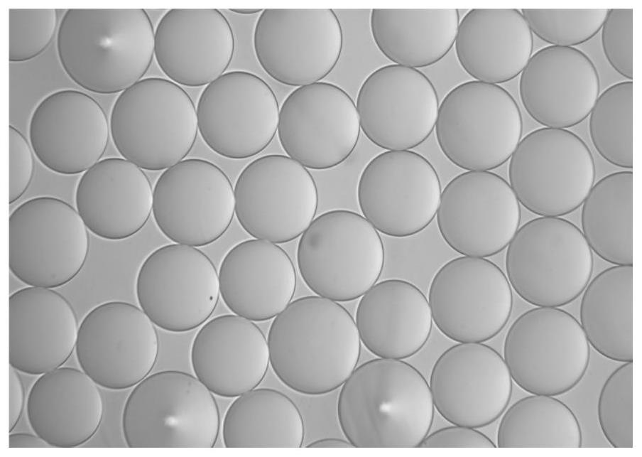 Chitosan microspheres as well as preparation method and application thereof