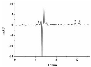 A kind of preparation method of chiral molecularly imprinted adsorption extraction stirring rod