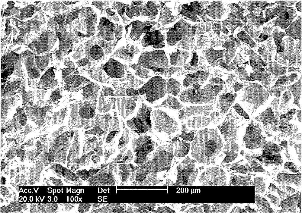 Preparation method of sericin/hydroxyapatite composite porous bracket