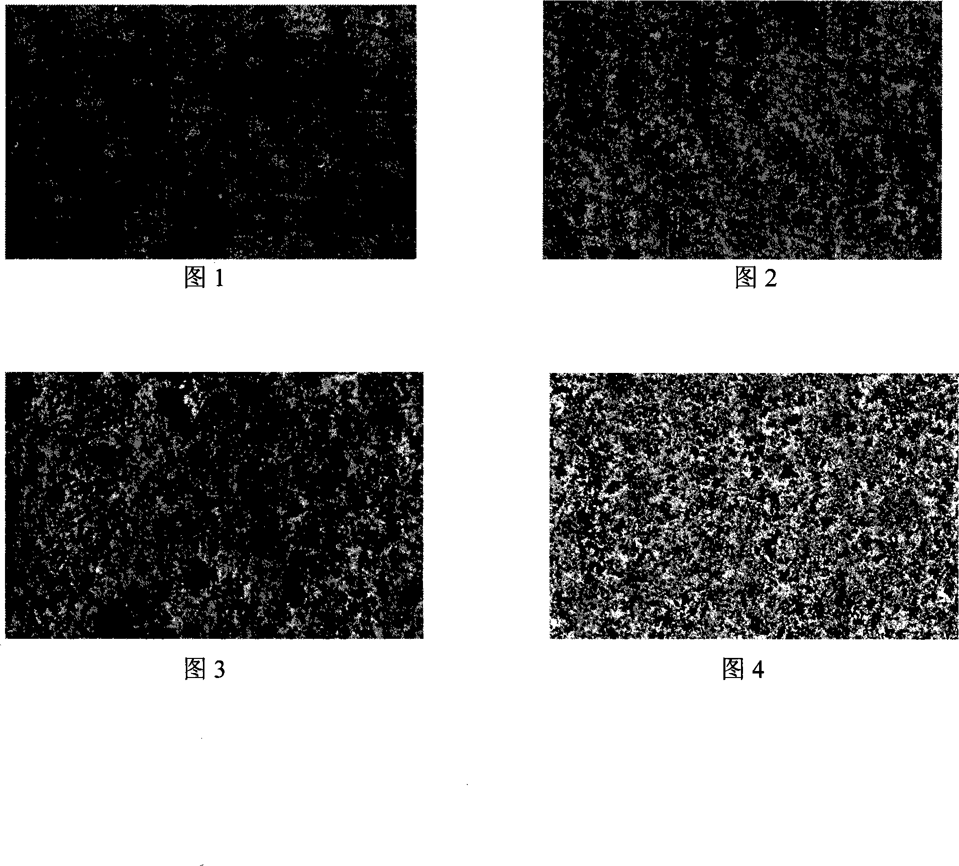 Frequency conversion bore distribution method for low-voltage anodic foil for aluminum electrolytic capacitor