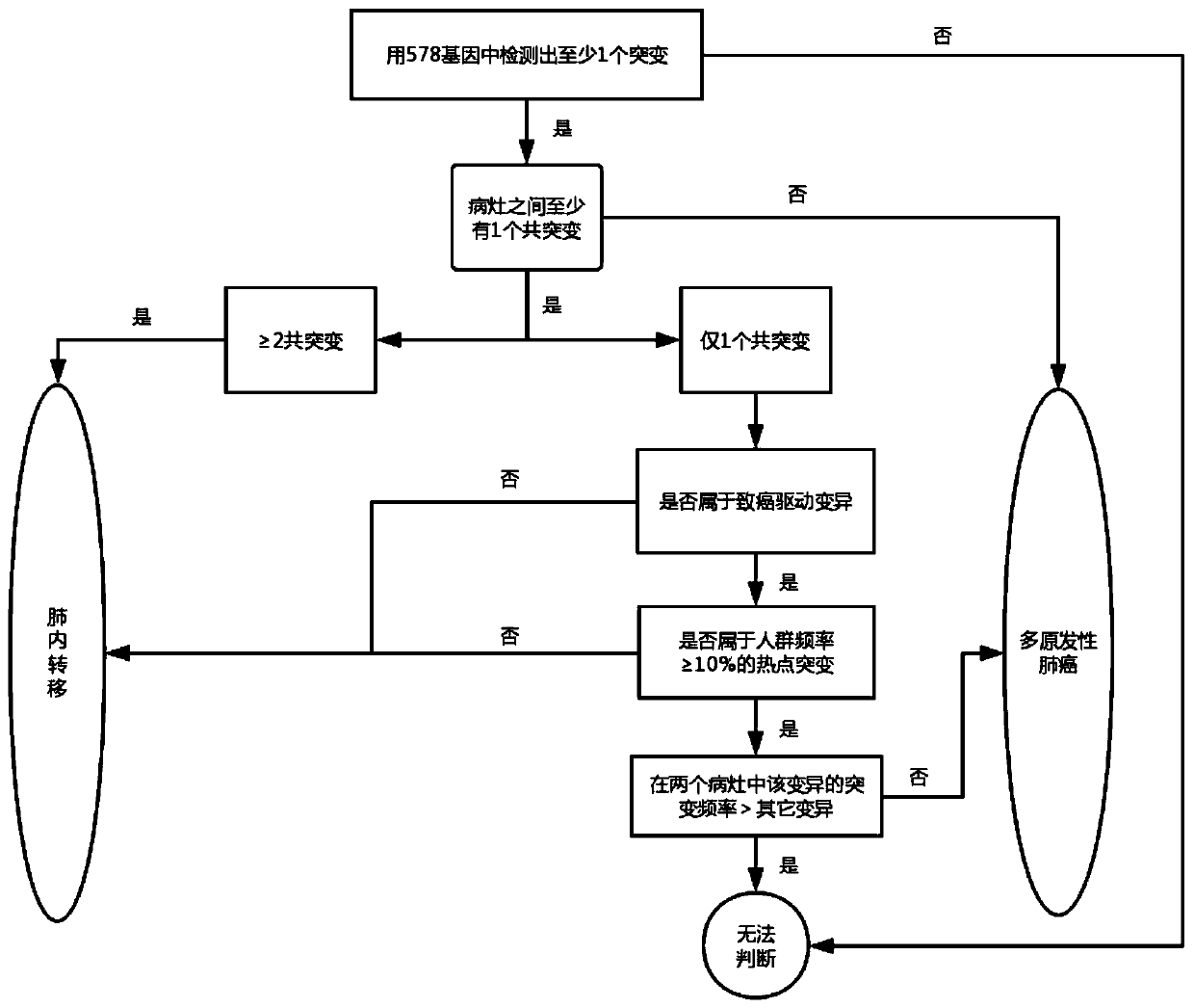 Lung cancer multifocal diagnosis system