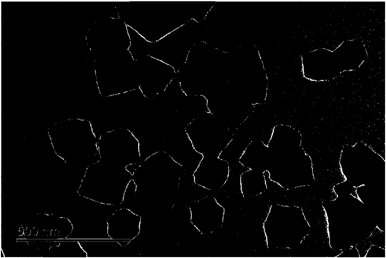 Preparation and application of non-noble metal nitrogen-doped hollow carbon nanotube electrocatalyst