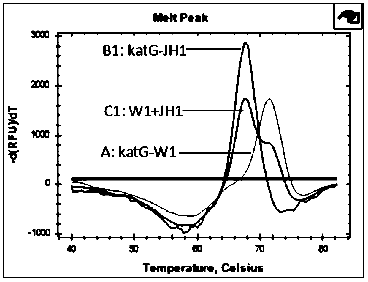 Reagent kit and method for detecting M.tuberculosis isoniazide drug tolerance mutation gene