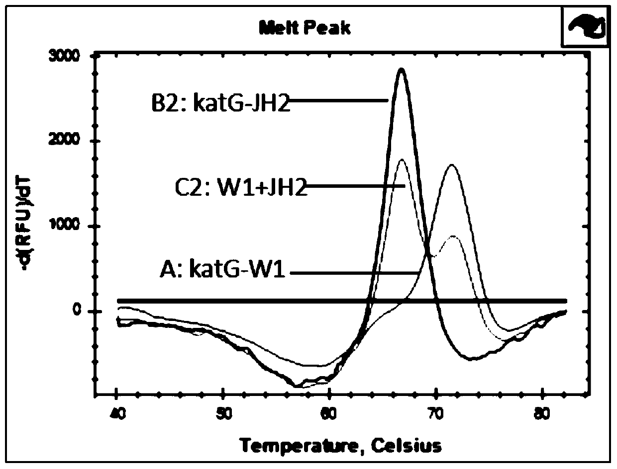 Reagent kit and method for detecting M.tuberculosis isoniazide drug tolerance mutation gene