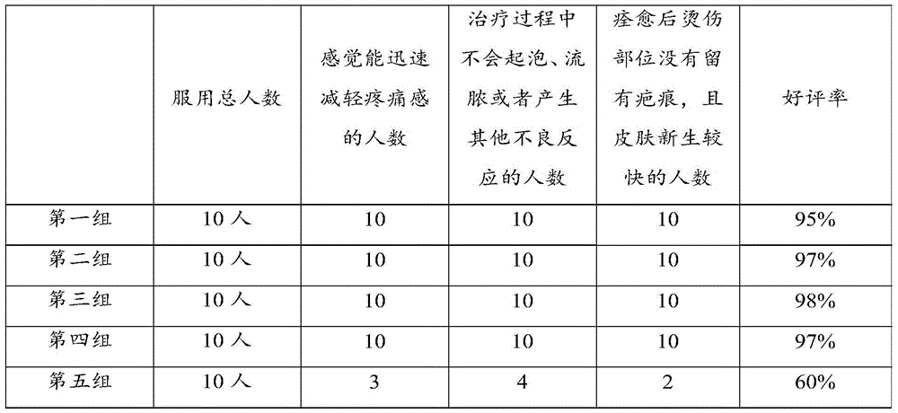 Medicine for treating skin injury and preparation method of medicine