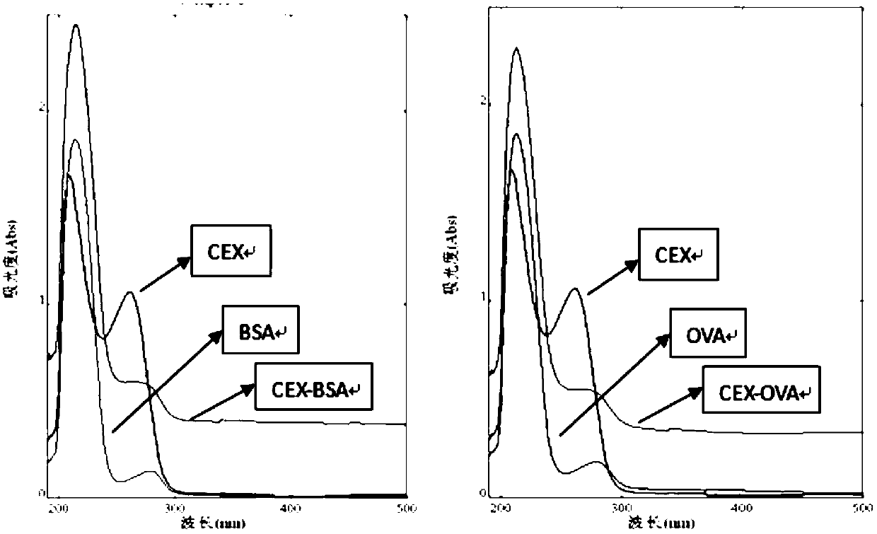 An indirect competition ELISA kit for detecting cephalosporin antibiotics in food of animal origin and its application