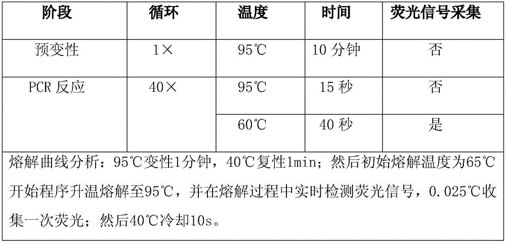 Folate metabolism related gene MTHFR heritable variation detection kit and application thereof