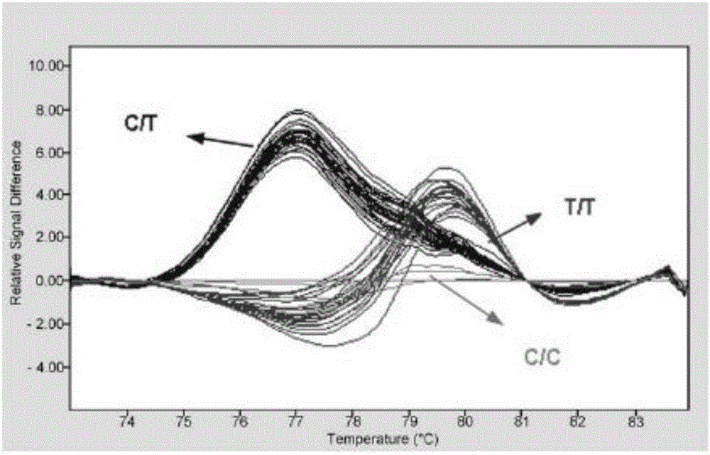 Folate metabolism related gene MTHFR heritable variation detection kit and application thereof