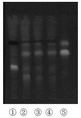 A quality detection method for Zishen Ningshen Pills