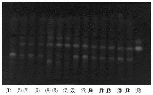 A quality detection method for Zishen Ningshen Pills