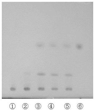 A quality detection method for Zishen Ningshen Pills