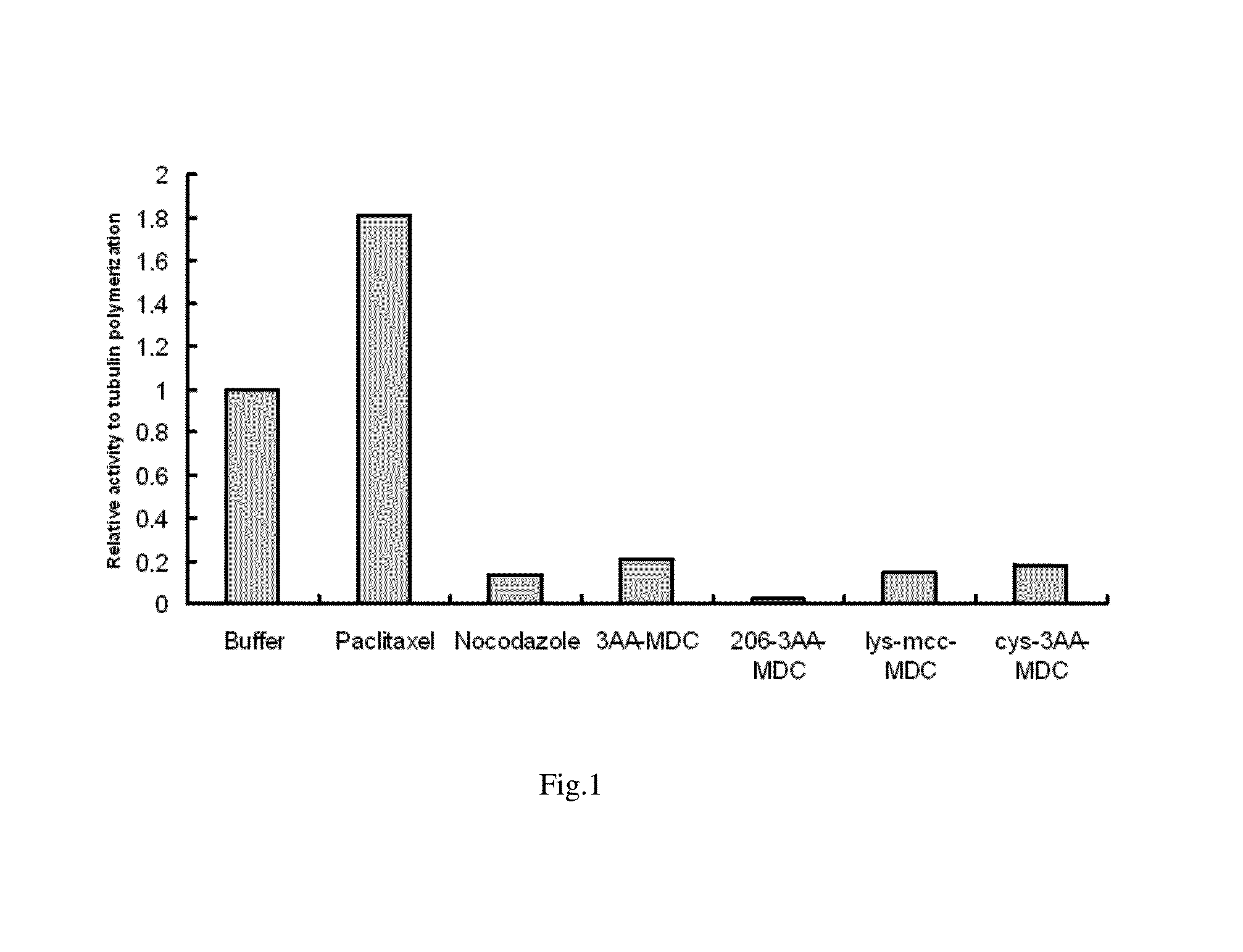 Compounds and methods for the treatment of erb b2/neu positive diseases