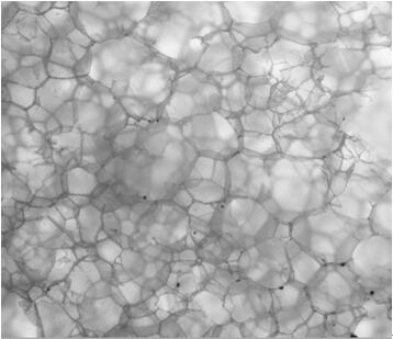 Biomass filtering membrane material for replacing medical mask melt-blown cloth and preparation method