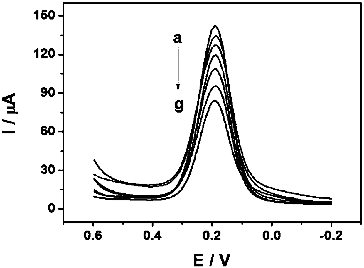 Electrochemical biosensor for detecting ampicillin and preparation method thereof