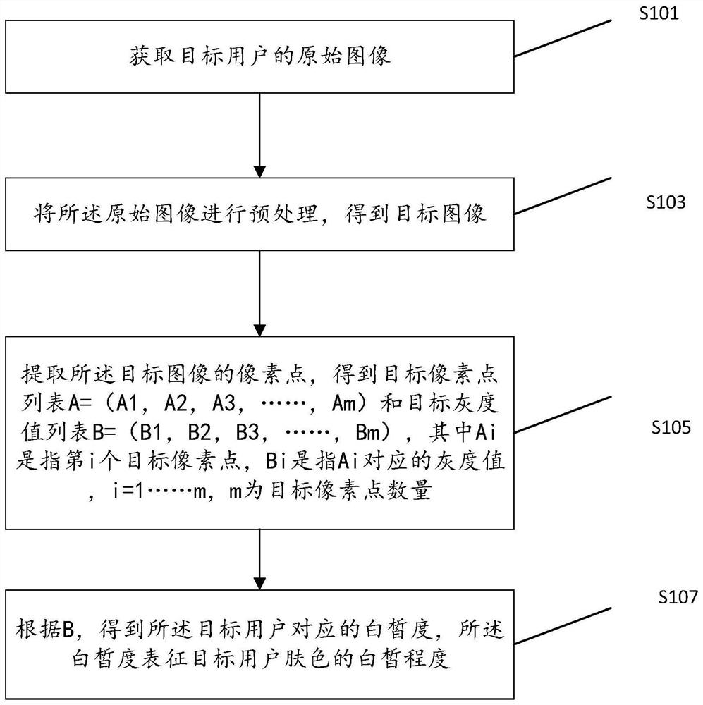 White degree determination method, electronic equipment and readable storage medium