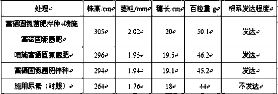 Functional zinc-rich and nitrogen-fixation biological bacterial fertilizer