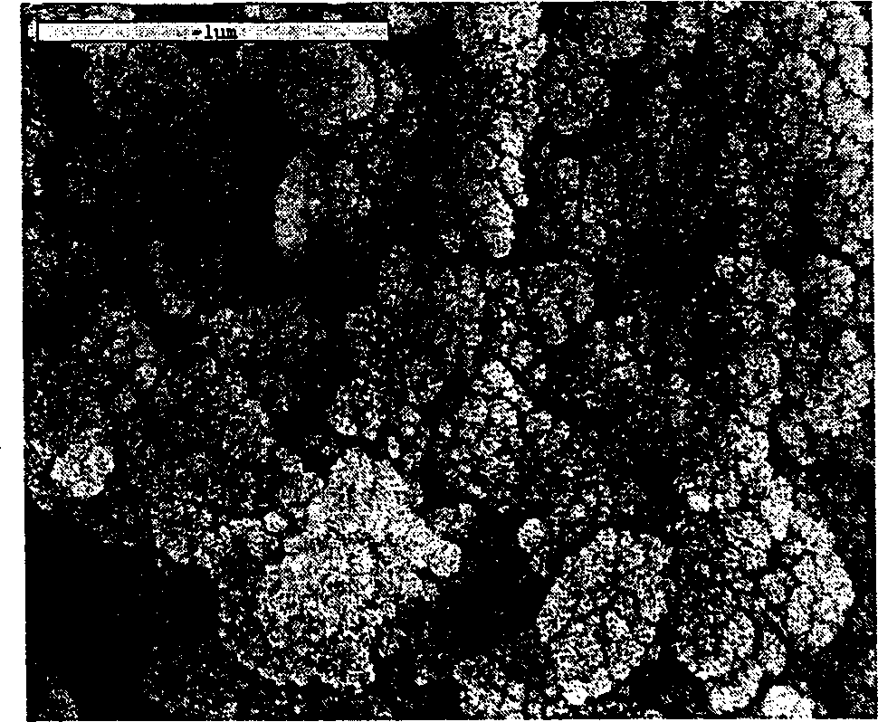 New method of rapid synthesis of basic bitter salt