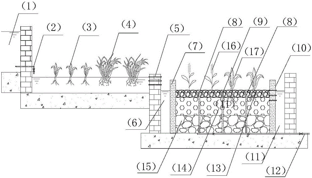 Anti-clogging economic crop type filter bed-baffle subsurface flow constructed wetland enhanced nitrogen and phosphorus removal system