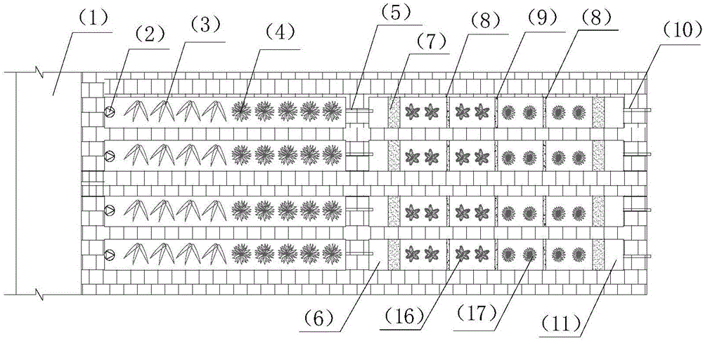 Anti-clogging economic crop type filter bed-baffle subsurface flow constructed wetland enhanced nitrogen and phosphorus removal system