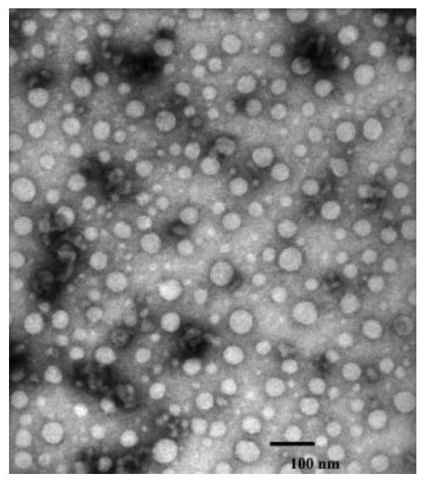 Long-chain amine-substituted dimethylanilinium compounds, preparation, self-assembly structure and use