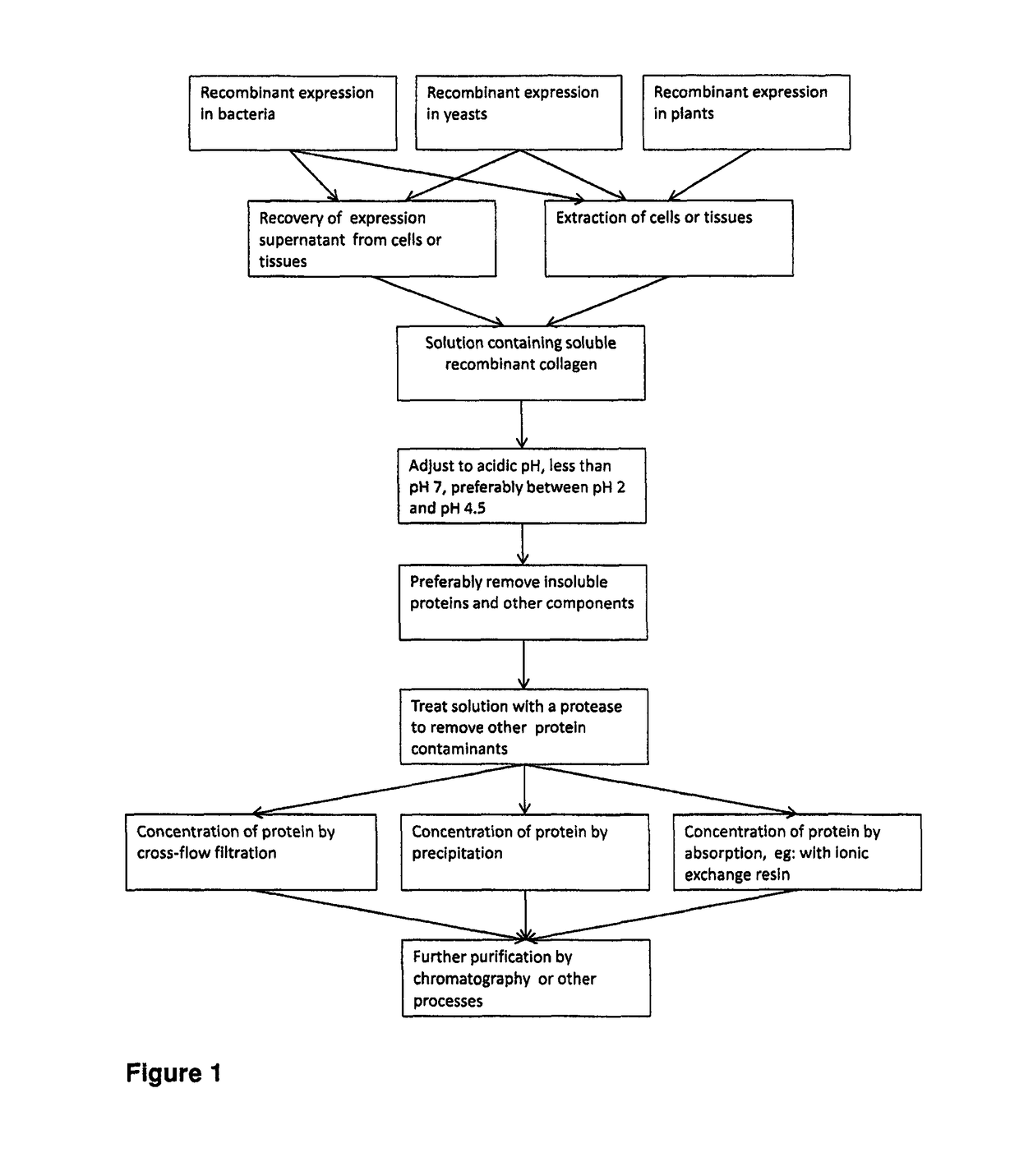 Purification of triple helical proteins