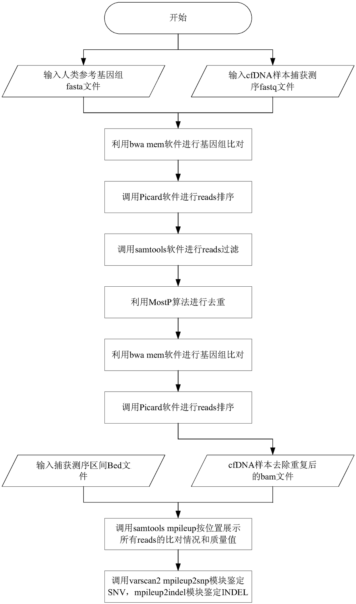 Method and device for processing repetitive sequences of circulating tumor deoxyribonucleic acid (DNA)