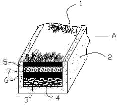 River and lake water greening and purifying method and river and lake water greening and purifying device