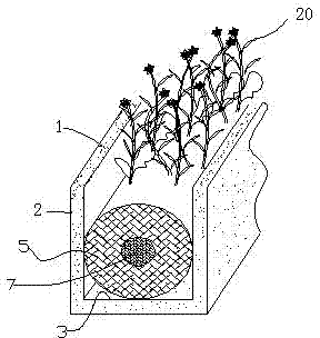 River and lake water greening and purifying method and river and lake water greening and purifying device