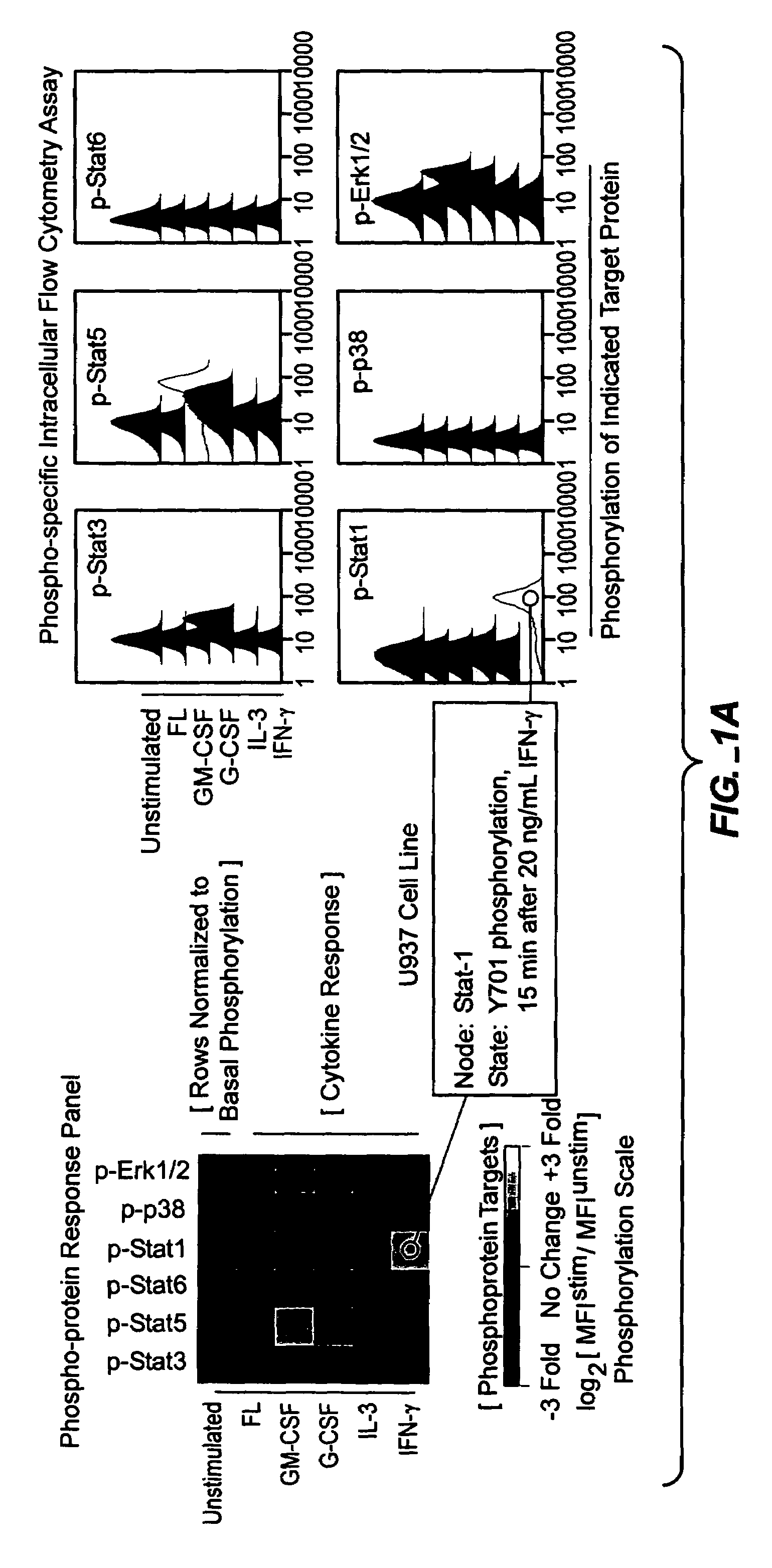 Methods and compositions for risk stratification