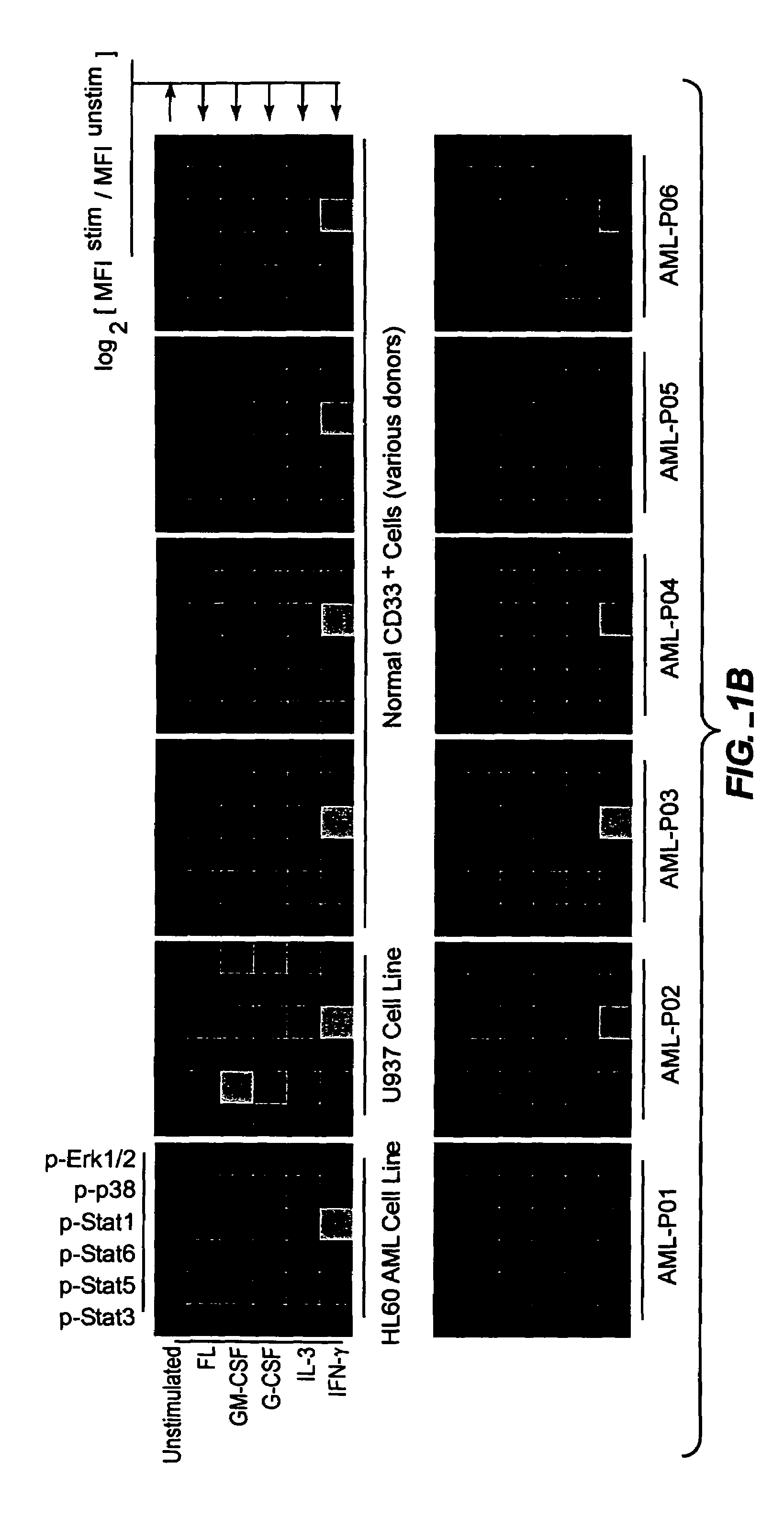 Methods and compositions for risk stratification