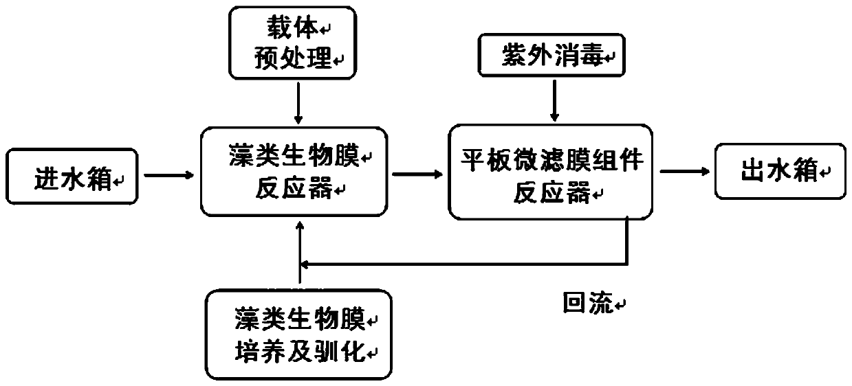 Method for treating sewage by double-membrane system of algae bio-membrane and plate micro-filtration membrane