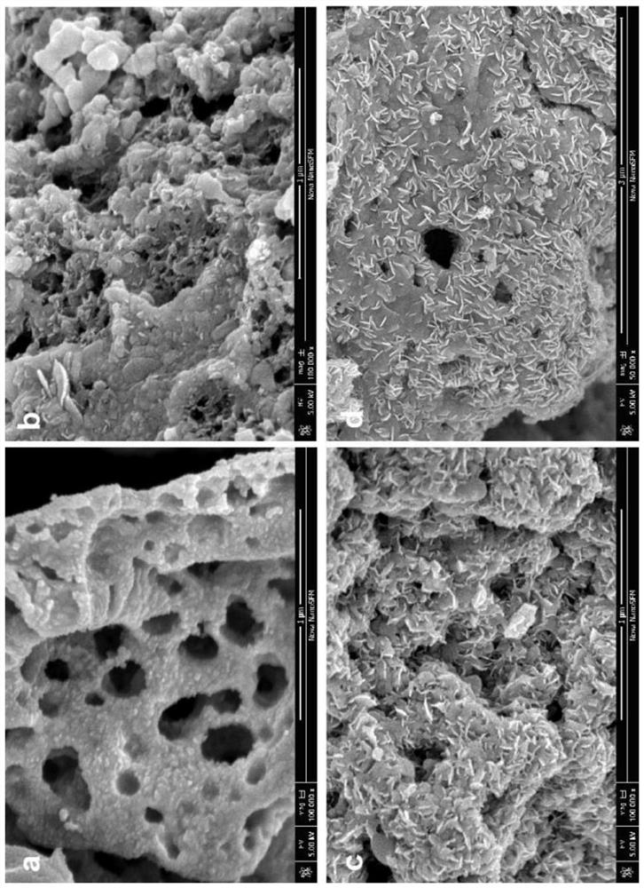 Method for preparing biomass carbon-loaded molybdenum sulfide electrode material by one-step method