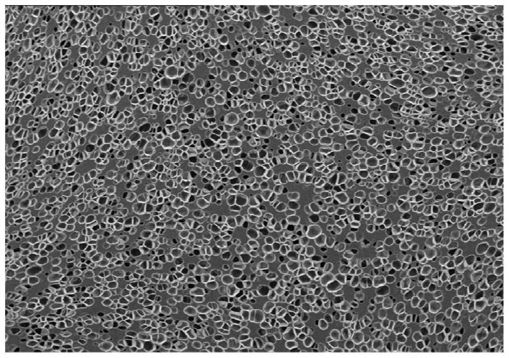 High-hardness thermoplastic polyurethane foaming coiled material and semi-continuous preparation method thereof