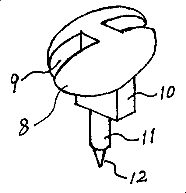 Liquid glue special-purpose bottle