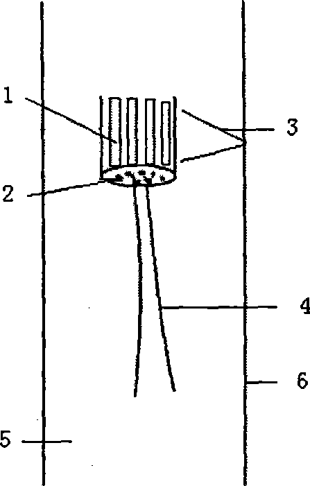 Ultrasound phased array cased well and front sounding integration detecting method