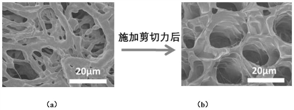 A shear force-responsive supramolecular biomimetic articular cartilage material with dynamic lubrication and self-healing ability and preparation method thereof