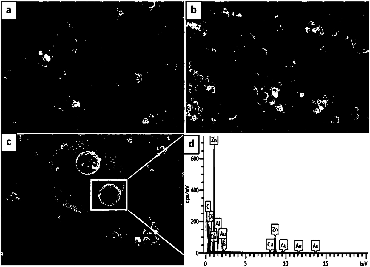 A polyaniline hollow microsphere/zinc composite positive electrode material and button lithium battery