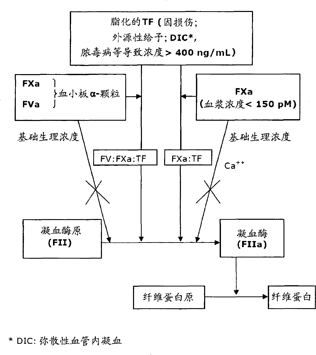 Activated factor X(FXa) stimulants as new antihemorrhagic agents for topical use