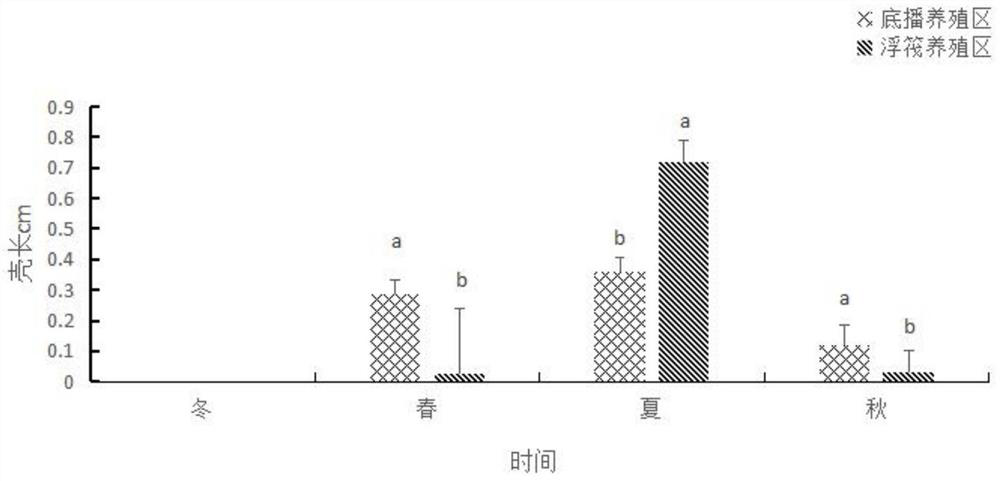 Buoyant raft culture method for Ruditapes philippinarum 'Zebra Clam 2'