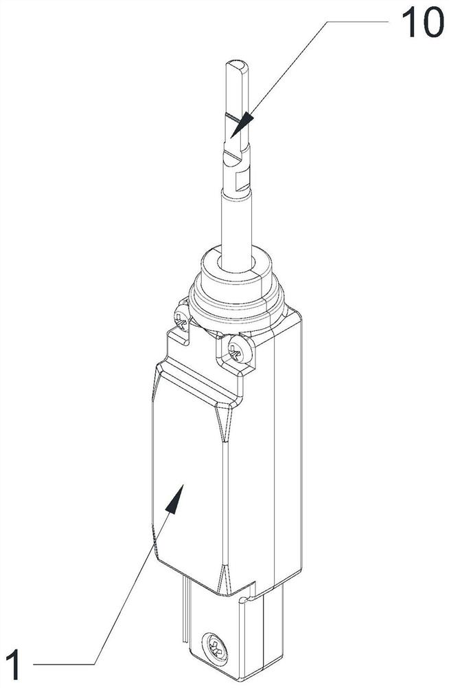 Single-coil toothbrush vibration motor