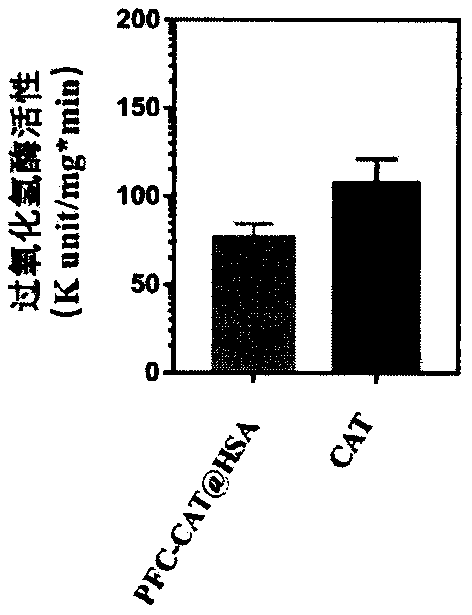 Albumin nanoparticles capable of double-stage oxygen carrying and preparation method and application thereof