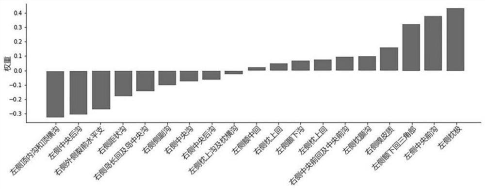 Brain age assessment method for Rolandic epilepsy children based on machine learning