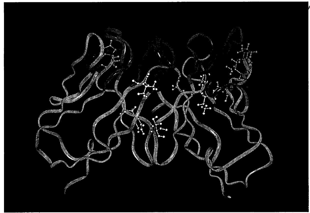 Anti-flavivirus envelope E protein monoclonal antibody and application thereof