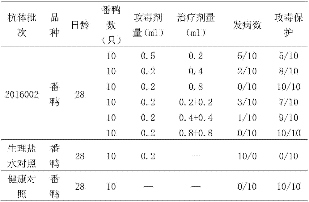 Egg yolk antibody of type-2 duck adenovirus infection and preparation method