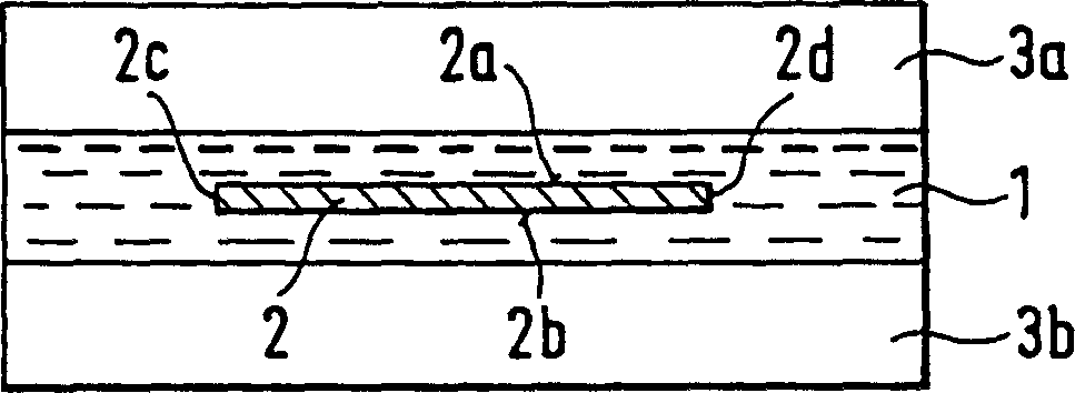 Device for electroplating steel band coating