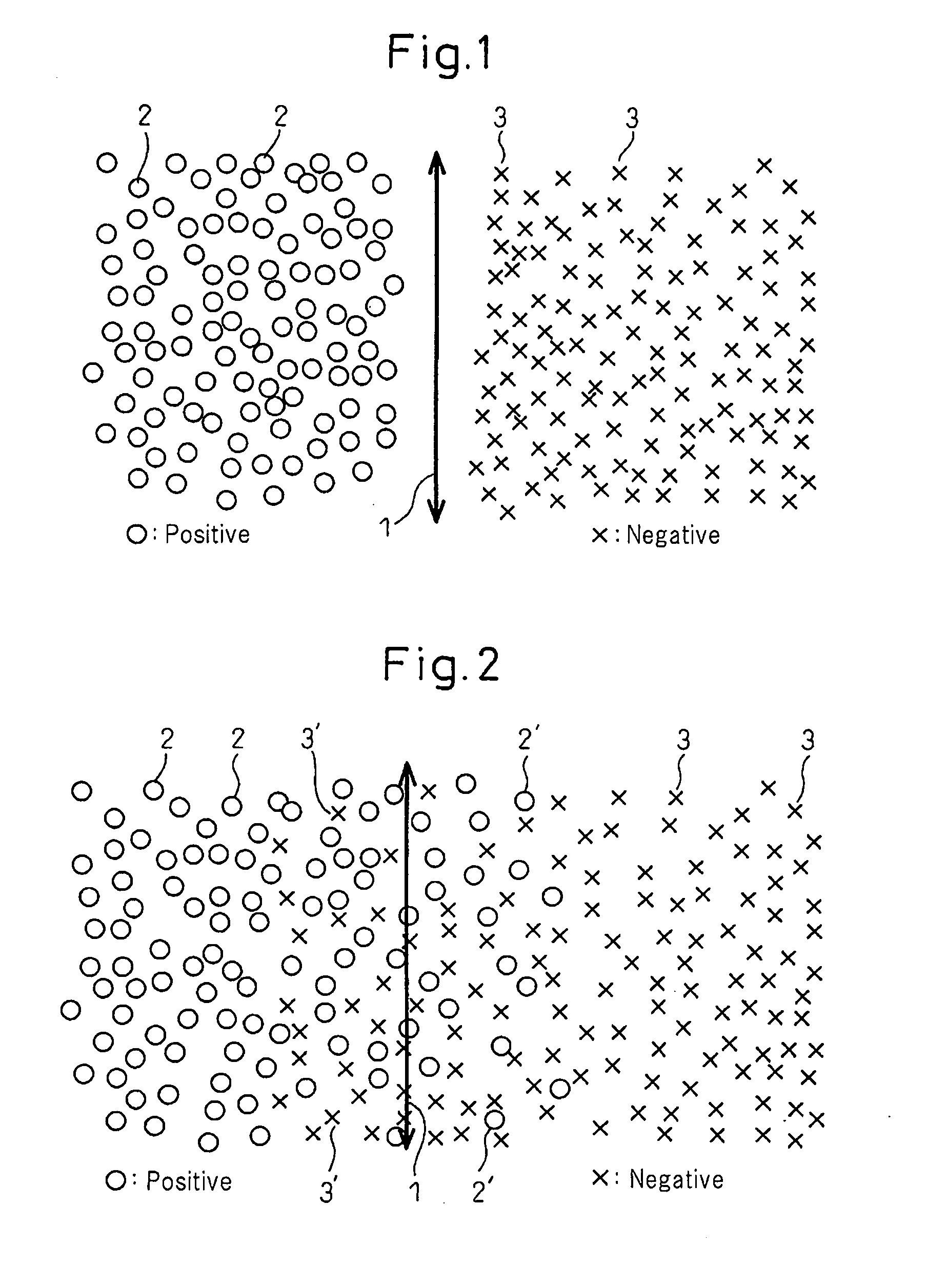 Method, program and apparatus for generating two-class classification/prediction model