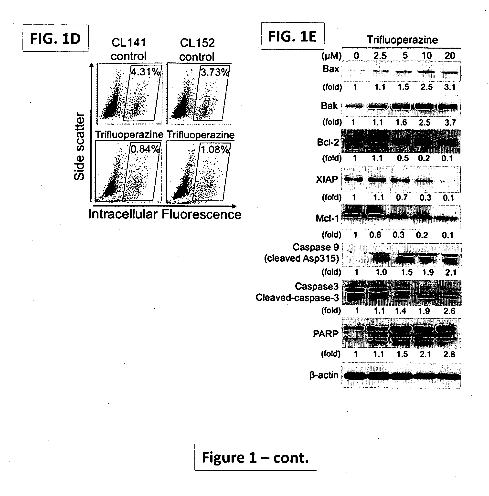 Pharmaceutical composition for treatment of cancer using phenothiazine