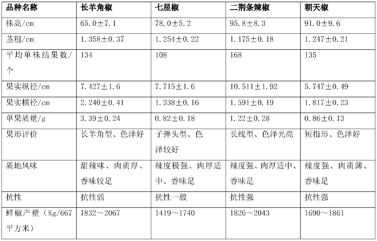 Breeding method for pepper variety used for Pixian county bean paste