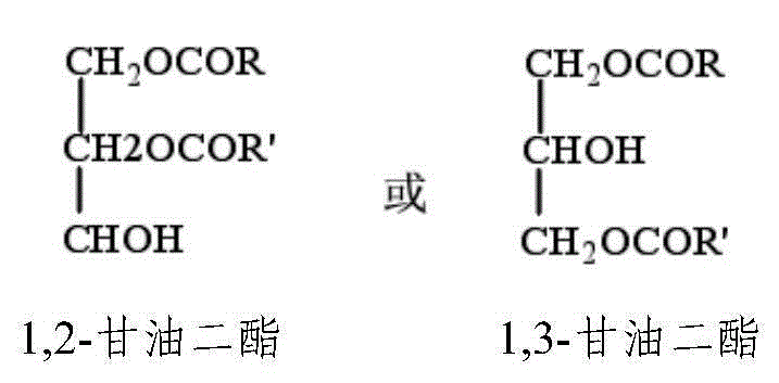 Diacylglycerol oil composition containing rich alpha-calendic acid as well as preparation method and application of diacylglycerol oil composition